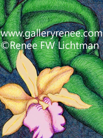 "Cropped Cattleya" Ballpoint Pens with Digital Recomposition, Botanical and Floral Art, Orchid Art, Framed Art, Fine Art for Sale from Artist Renee FW Lichtman