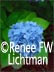"Title" Medium, Gallery, Artist Renee FW Lichtman