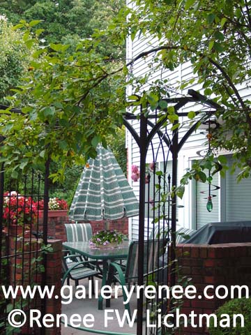 "Patio" Photographic Art, Landscape Art Gallery, Photographic Art Gallery, Fine Art for Sale from Artist Renee FW Lichtman