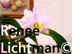 "Title" Medium, Artist Renee FW Lichtman