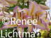 "Title" Medium, Artist Renee FW Lichtman